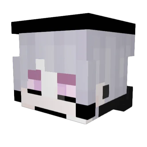Wuldemar Minecraft avatar head, 3D render