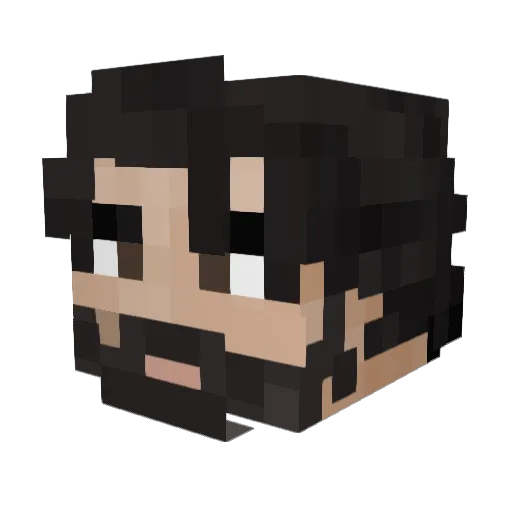 WulenWhale Minecraft avatar head, 3D render