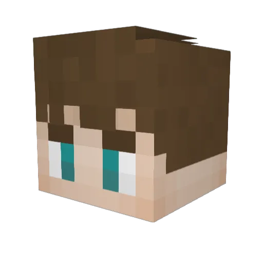 Wulfe007 Minecraft avatar head, 3D render