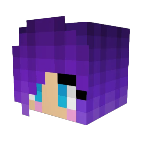 Wulfgaar Minecraft avatar head, 3D render