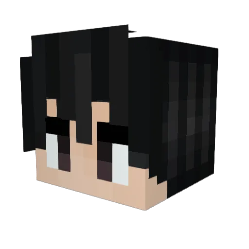 Wullix_ Minecraft avatar head, 3D render