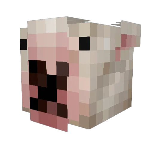 WumboBumb0 Minecraft avatar head, 3D render