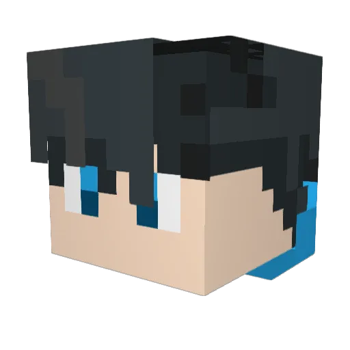 Wuniqua Minecraft avatar head, 3D render