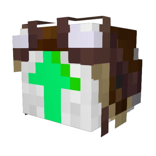 Wupward Minecraft avatar head, 3D render
