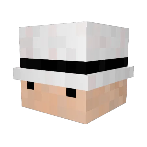 Wurpp_ Minecraft avatar head, 3D render