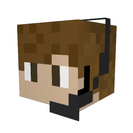 Wurzel900 Minecraft avatar head, 3D render