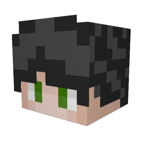 WusPoppingg Minecraft avatar head, 3D render