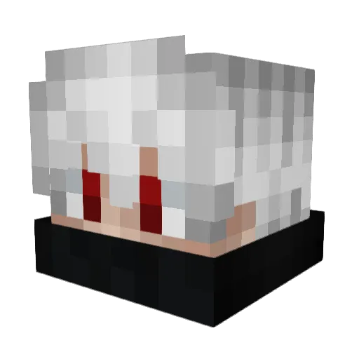 WuschelKopf26 Minecraft avatar head, 3D render