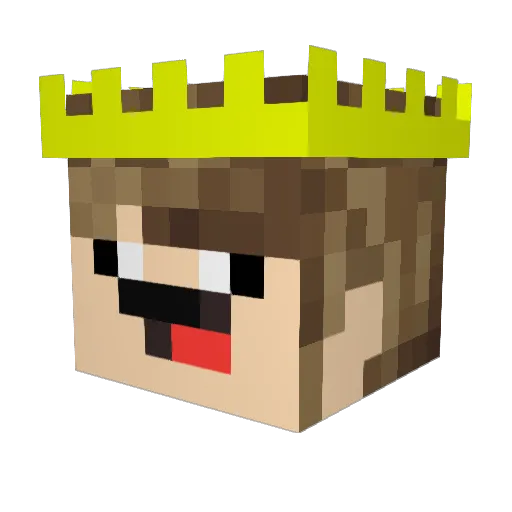 Wusson Minecraft avatar head, 3D render