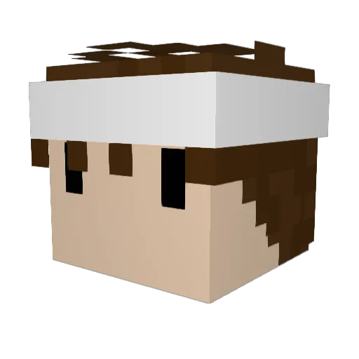 Wussy05 Minecraft avatar head, 3D render