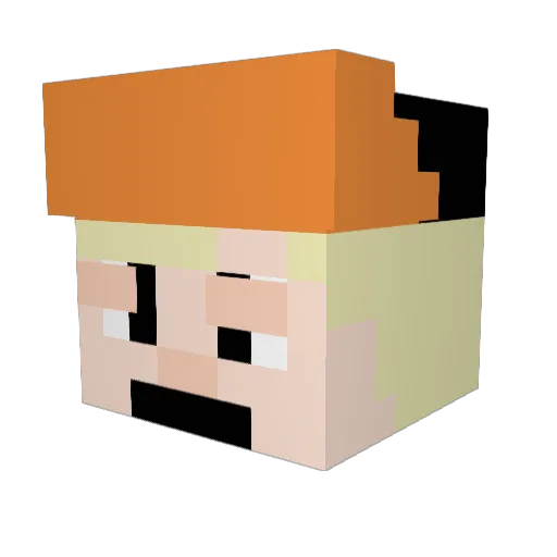 Wuter7 Minecraft avatar head, 3D render