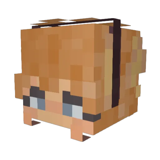 Wuvhz Minecraft avatar head, 3D render