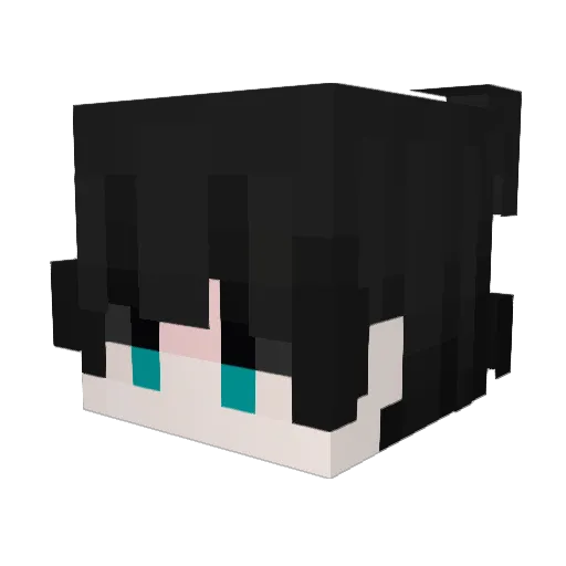 Wuyi227 Minecraft avatar head, 3D render