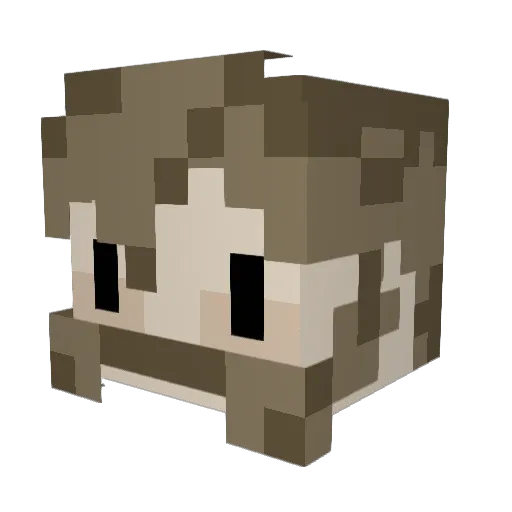 Wwafflezzz Minecraft avatar head, 3D render