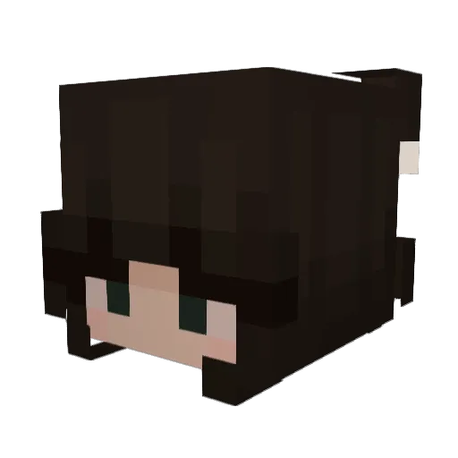 Wwiktoria7 Minecraft avatar head, 3D render
