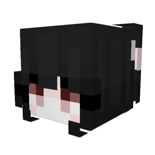 Wxchaa Minecraft avatar head, 3D render