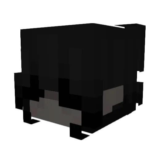 Wxdyyy_Yesh Minecraft avatar head, 3D render