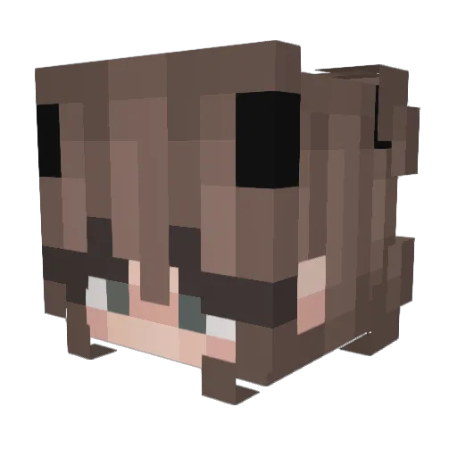 Wxght Minecraft avatar head, 3D render