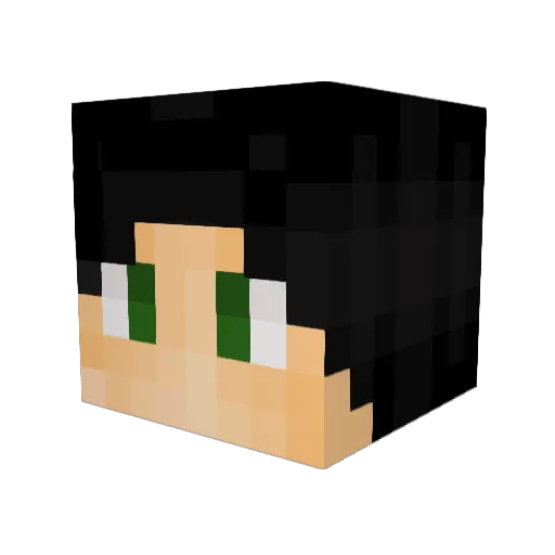 Wxll_ Minecraft avatar head, 3D render