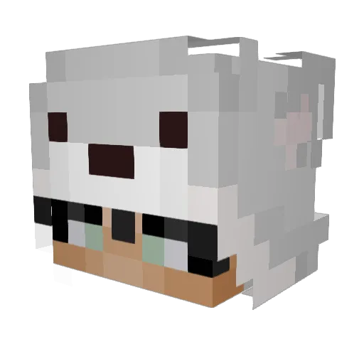Wxllop Minecraft avatar head, 3D render