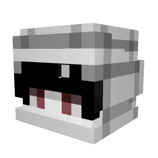 Wxlsy Minecraft avatar head, 3D render