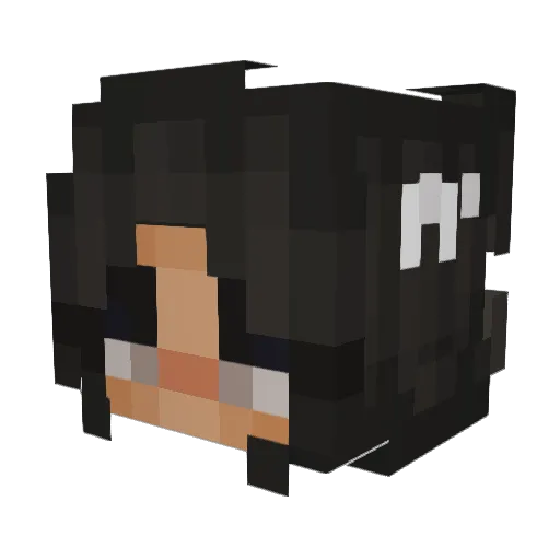 Wxrninq Minecraft avatar head, 3D render
