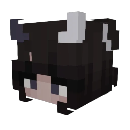 Wxsted_ Minecraft avatar head, 3D render