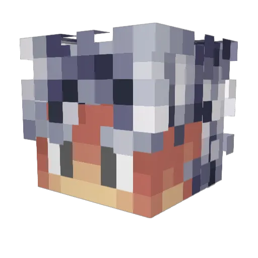 Wxther Minecraft avatar head, 3D render