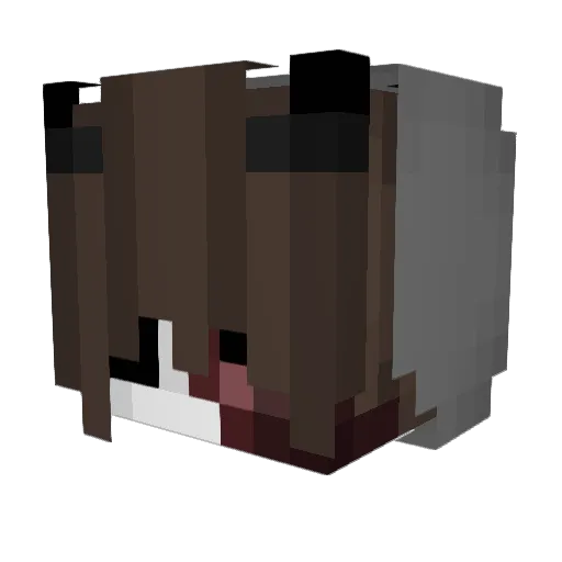 Wxybca Minecraft avatar head, 3D render