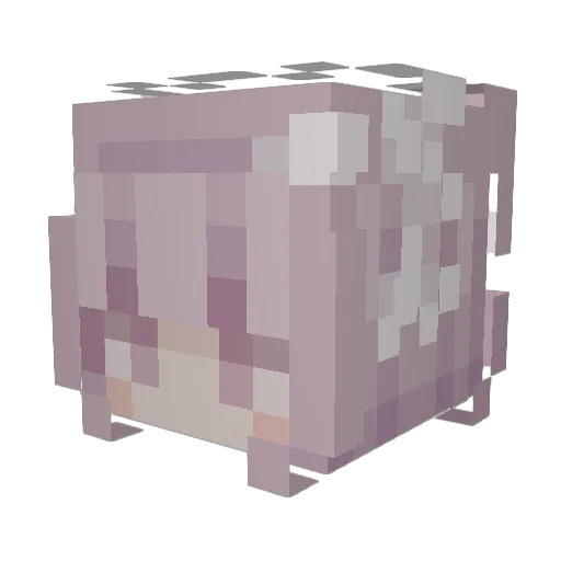 Wxznkerx Minecraft avatar head, 3D render