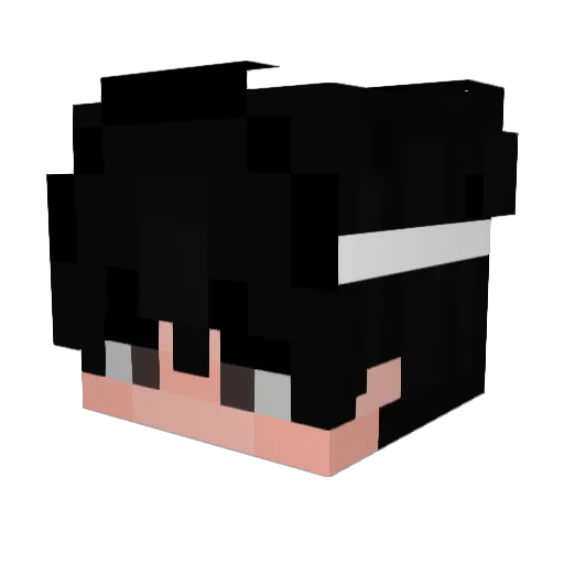 WyRox_ Minecraft avatar head, 3D render