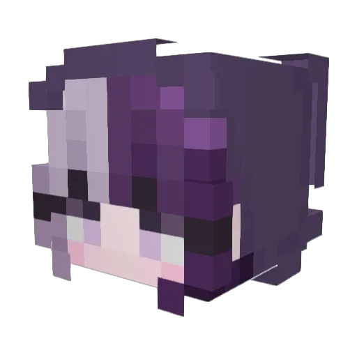 WyattFamily Minecraft avatar head, 3D render