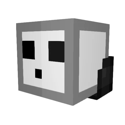 Wyatt_swag Minecraft avatar head, 3D render