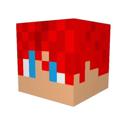 Wyatter12 Minecraft avatar head, 3D render