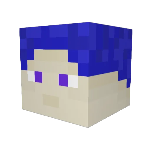 Wyattron1 Minecraft avatar head, 3D render