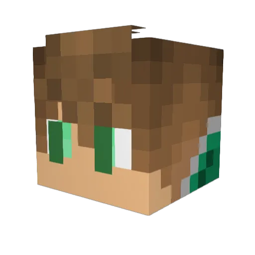 Wyborn96 Minecraft avatar head, 3D render