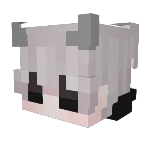 Wydrox Minecraft avatar head, 3D render