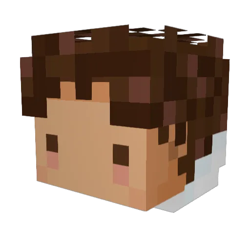 Wygiel_ Minecraft avatar head, 3D render