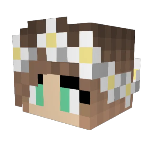 Wyguy10 Minecraft avatar head, 3D render