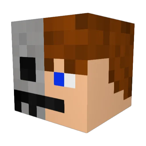 Wykko Minecraft avatar head, 3D render