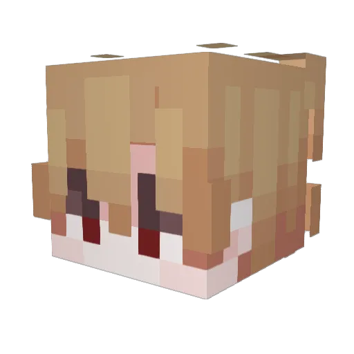Wykzt Minecraft avatar head, 3D render