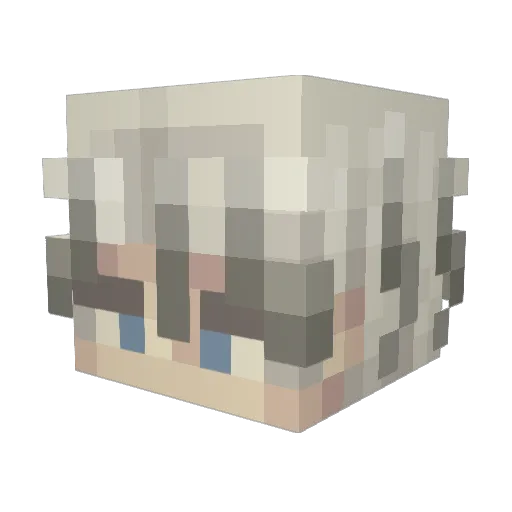 Wylian Minecraft avatar head, 3D render