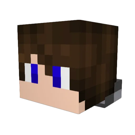 Wylie737 Minecraft avatar head, 3D render
