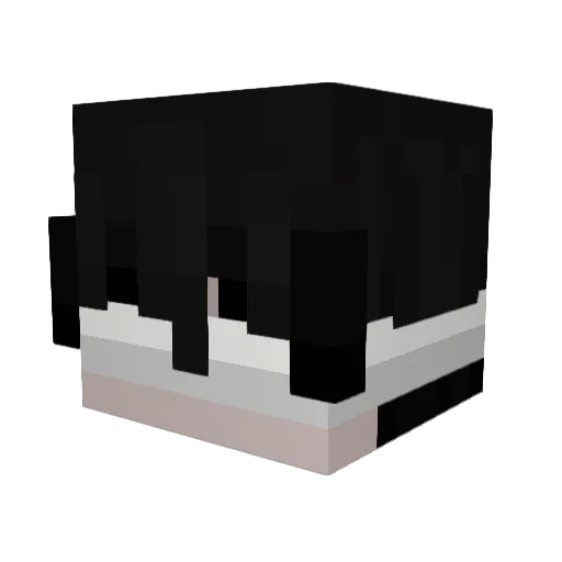 Wylii_ Minecraft avatar head, 3D render