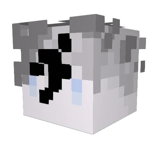 WyllC1pher Minecraft avatar head, 3D render