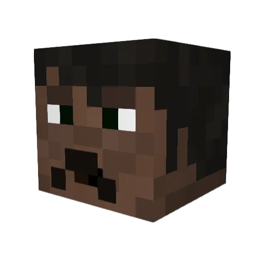 WyllF Minecraft avatar head, 3D render