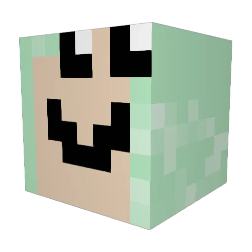 Wyllgo24 Minecraft avatar head, 3D render