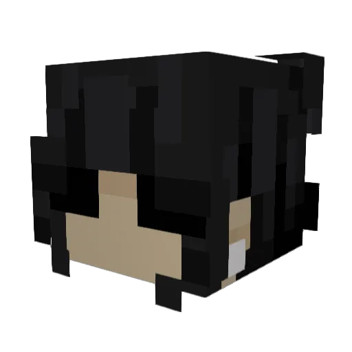 Wyloww Minecraft avatar head, 3D render