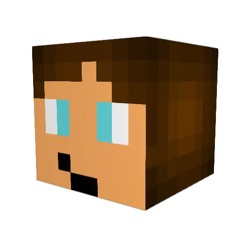 Wylper Minecraft avatar head, 3D render