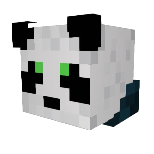 Wymatt111 Minecraft avatar head, 3D render